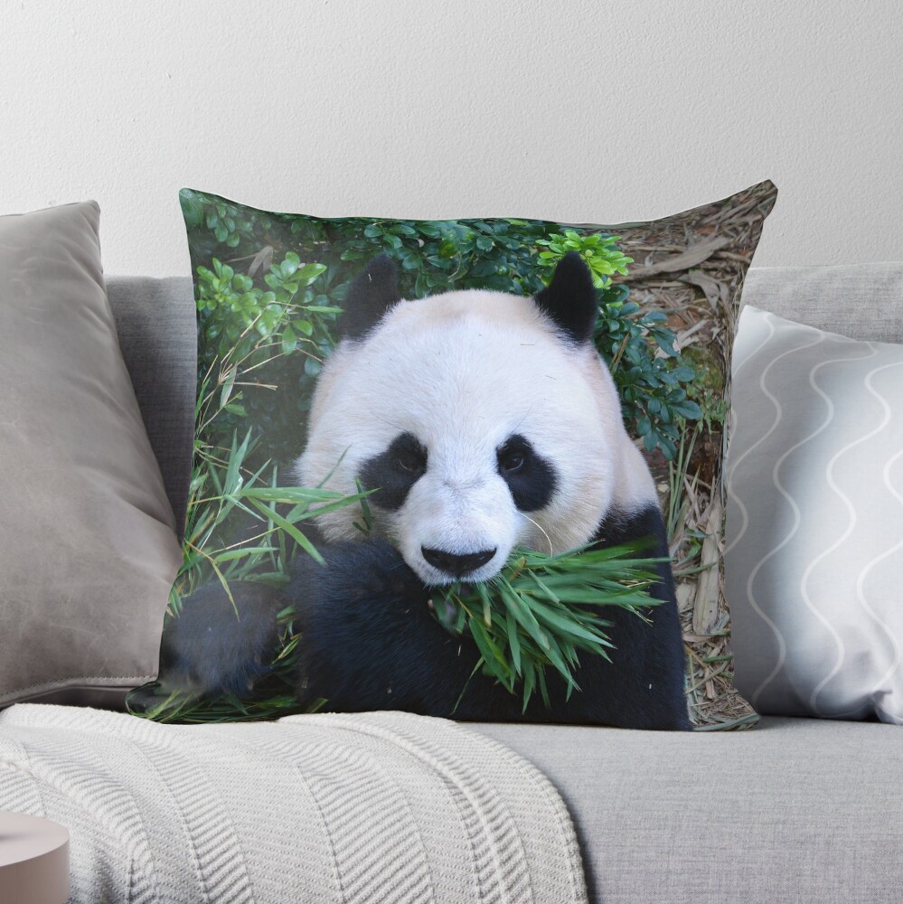 Giant Panda Eating Bamboo Throw Pillow