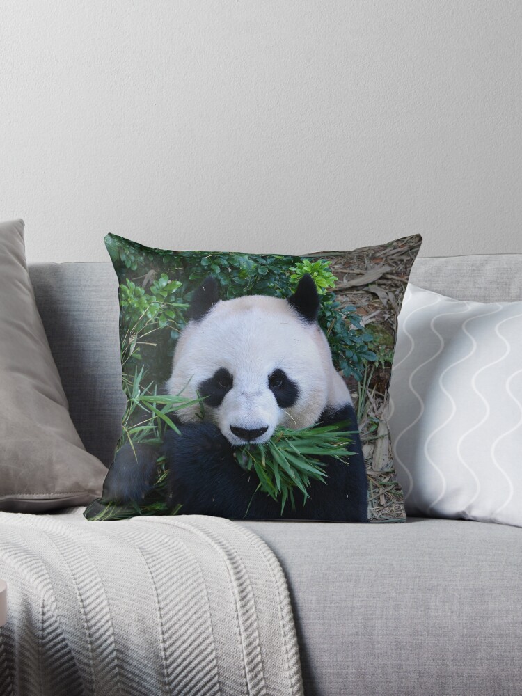 Giant Panda Eating Bamboo Throw Pillow