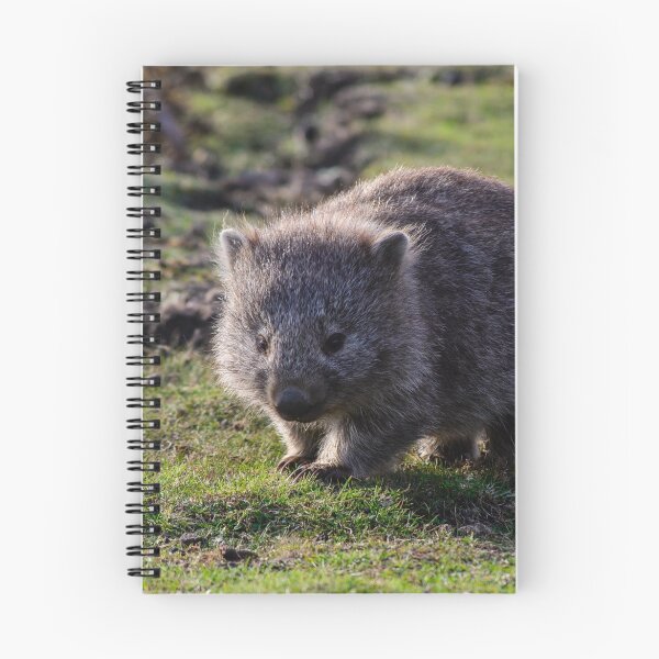 Item preview, Wombat designed and sold by Scott Godwin.