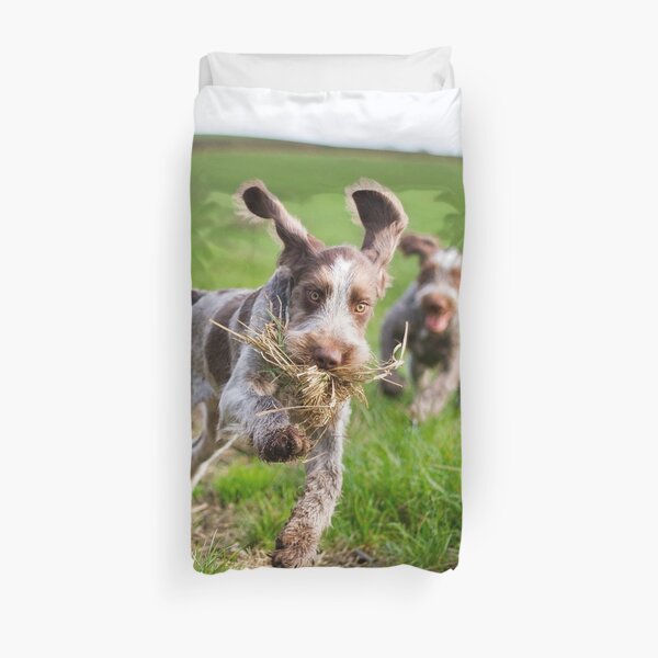 Italian Spinone Puppies Playing Chase Duvet Cover