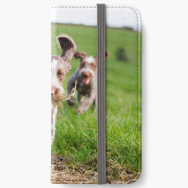 Italian Spinone Puppies Playing Chase iPhone Wallet