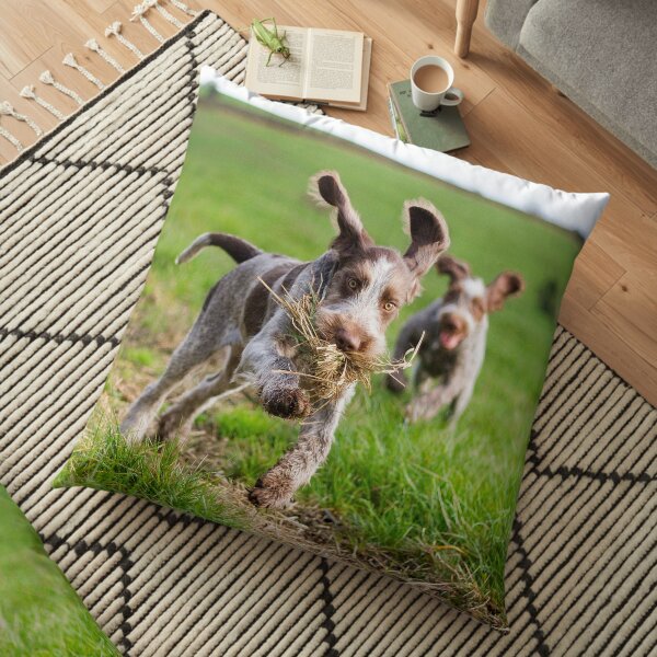 Italian Spinone Puppies Playing Chase Floor Pillow