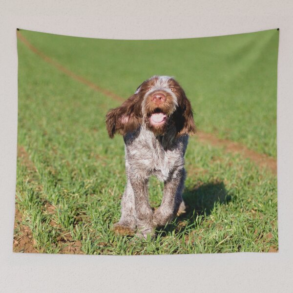 Item preview, Brown Roan Italian Spinone Puppy Dog In Action by heidiannemorris by heidiannemorris © designed and sold by FOLK ART FUSION by heidiannemorris.