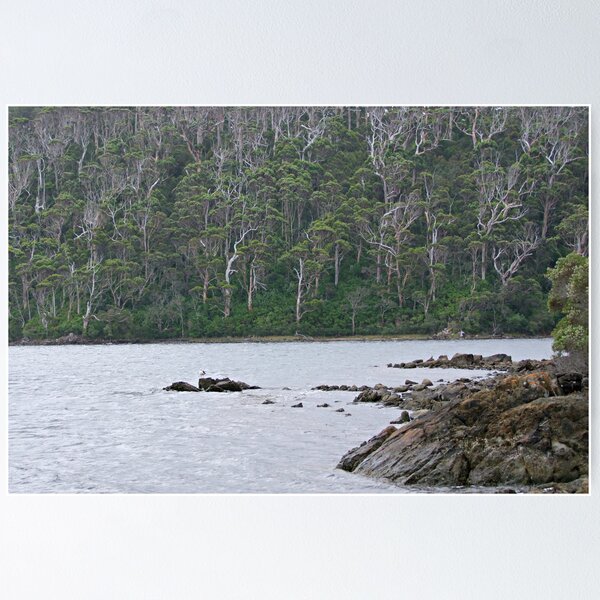 Item preview, Walpole-Nornalup Inlet designed and sold by Rick Playle.