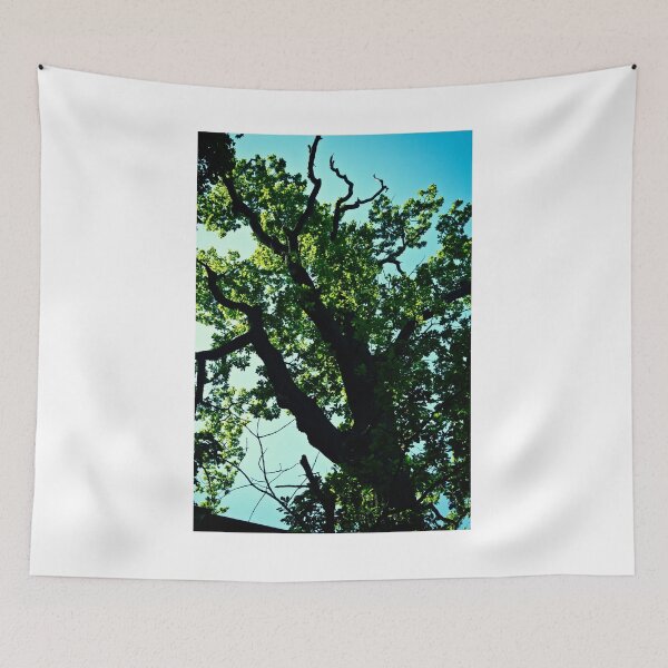 Item preview, Oak Tree up in Toompea. Tallinn. designed and sold by tutulele.