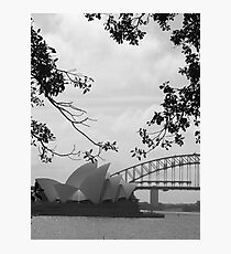 Sydneysiders Photographic Print