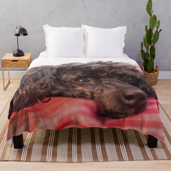 Item preview, I love your pillows designed and sold by KensLensDesigns.