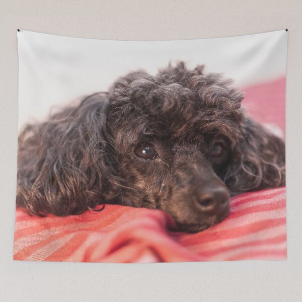 Item preview, I love your pillows designed and sold by KensLensDesigns.