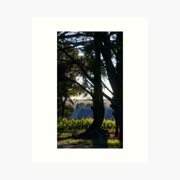 A New Day - Magpie Springs - - Adelaide Hills Wine Region - Fleurieu Peninsula - Winery Art Print