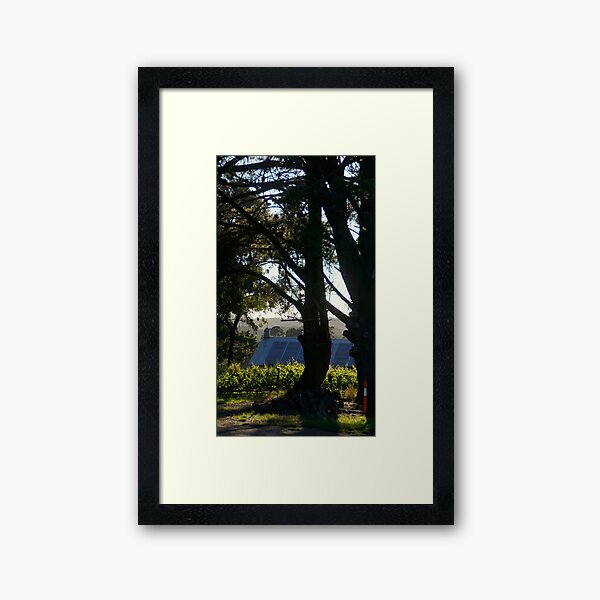A New Day - Magpie Springs - - Adelaide Hills Wine Region - Fleurieu Peninsula - Winery Framed Art Print
