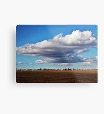 Hovering Metal Print