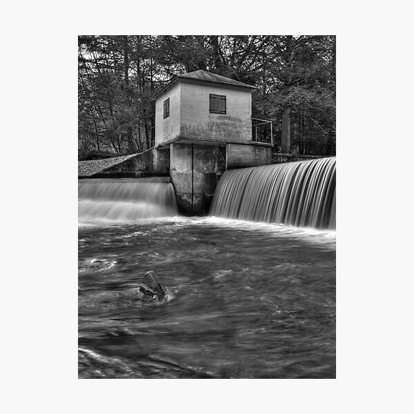 Fifty-Fifty Photographic Print