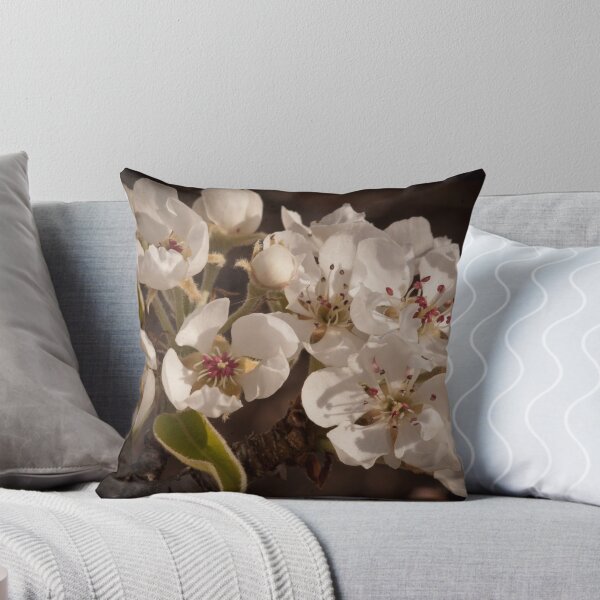 Item preview, Apple Blossoms, Cascade Valley, Washington designed and sold by Harv Churchill.