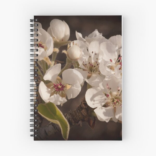 Item preview, Apple Blossoms, Cascade Valley, Washington designed and sold by Harv Churchill.