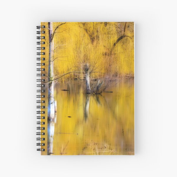 Spiral Notebook