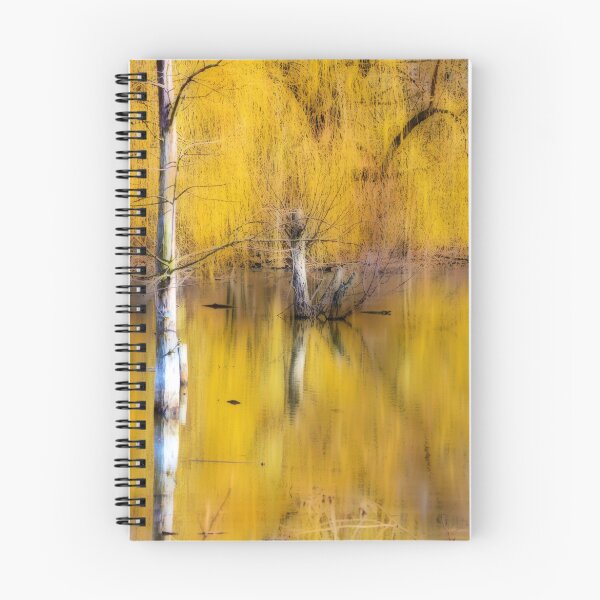 Item preview, A Magical Confluence designed and sold by Brian Gaynor.