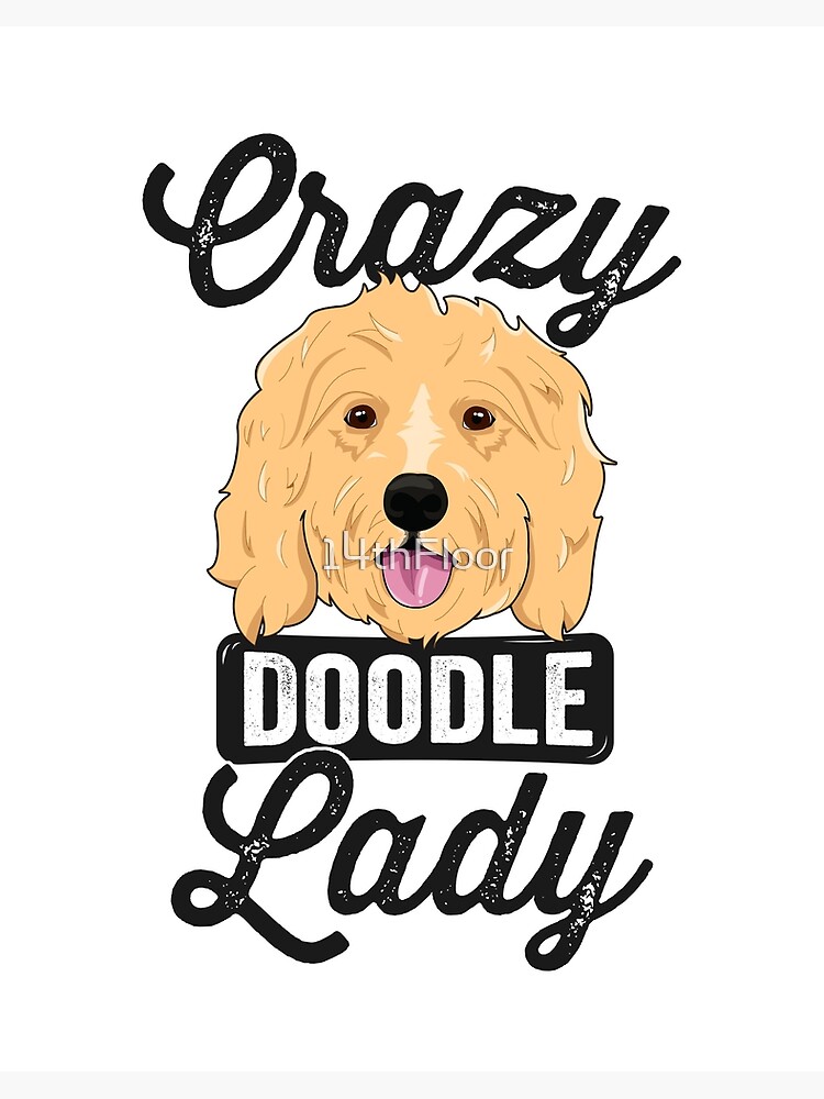 crazy goldendoodle