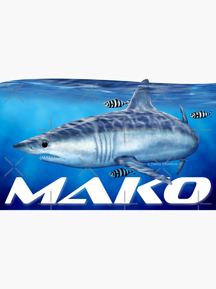 “Mako shark” Sticker by barradingo | Redbubble