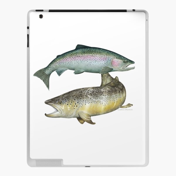 Brown Trout & Rainbow Trout iPad Skin