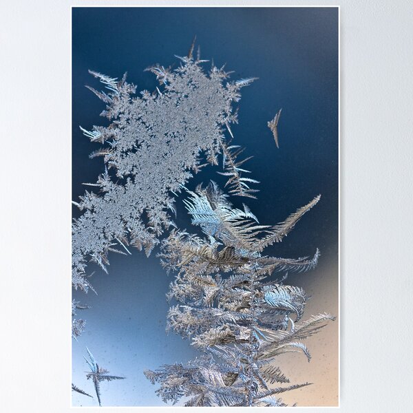 Natural Fractals I Poster