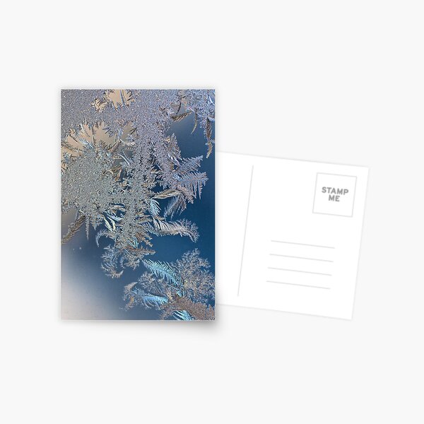 Natural Fractals II Postcard