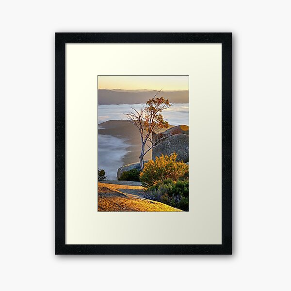 Sentinel Framed Art Print