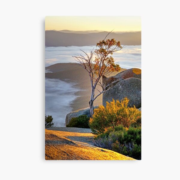 Sentinel Canvas Print