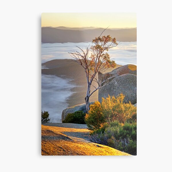 Sentinel Metal Print