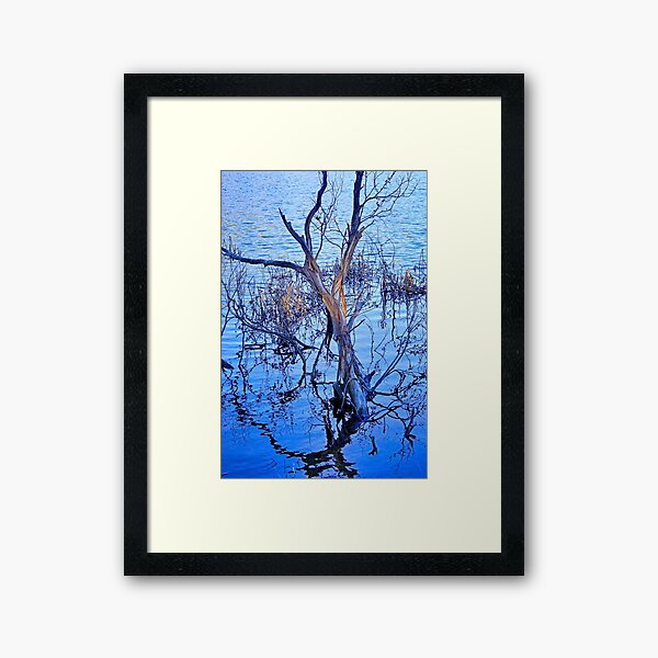 The Play of Light Framed Art Print