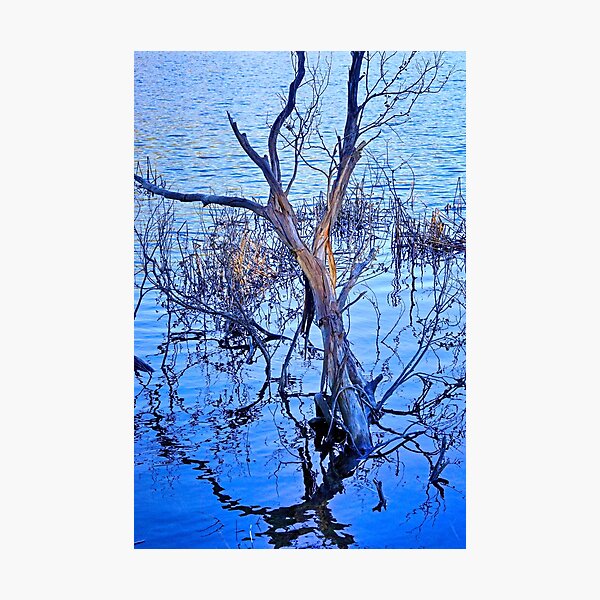 The Play of Light Photographic Print