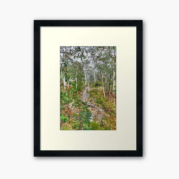 Forest Framed Art Print