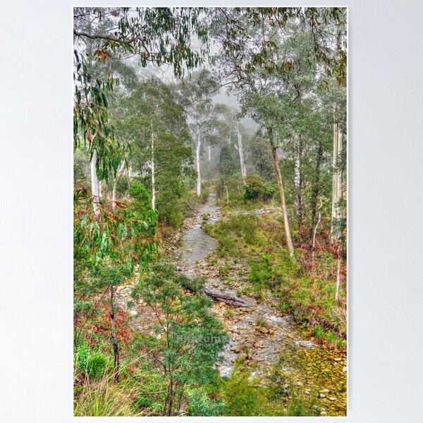 Item preview, Forest designed and sold by Harry Oldmeadow.