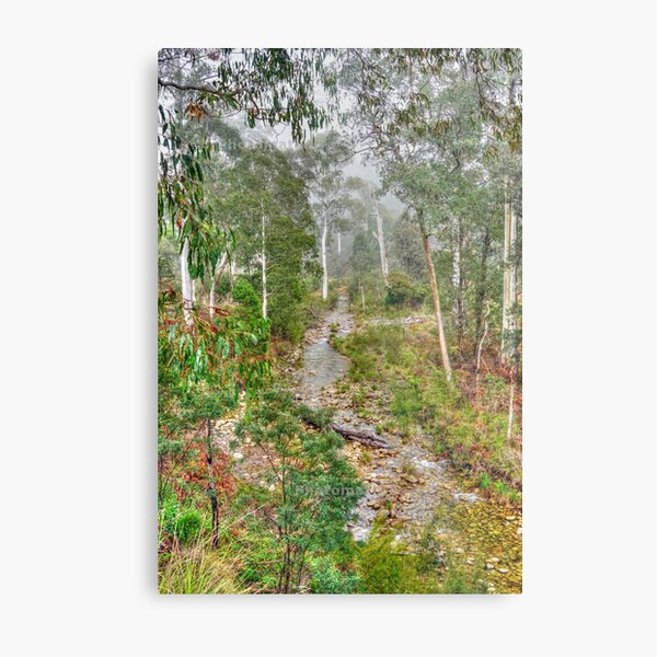 Forest Metal Print