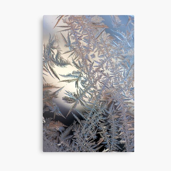 Natural Fractals III Canvas Print