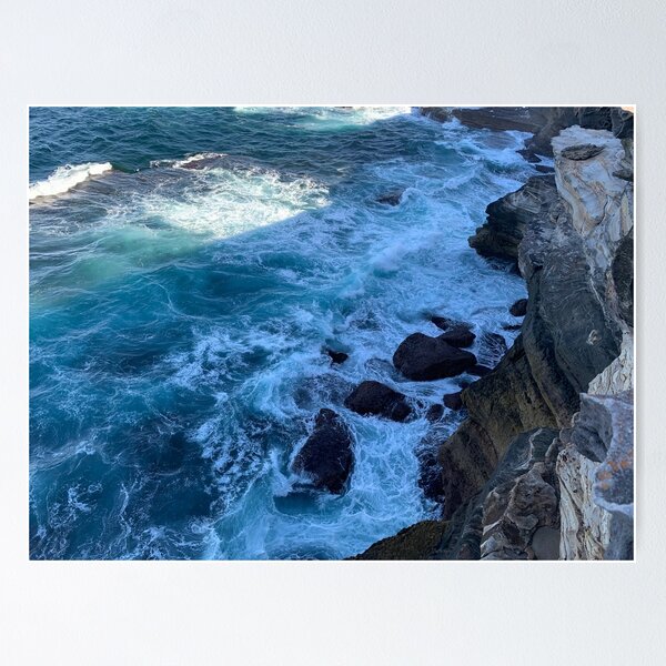 Item preview, Kamay Botany Bay National Park, Sydney, NSW, Australia  designed and sold by Mariam Kabbout.