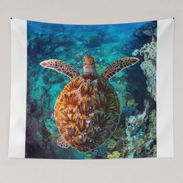 Item preview, Green Sea Turtle designed and sold by Jesshaddenphoto.