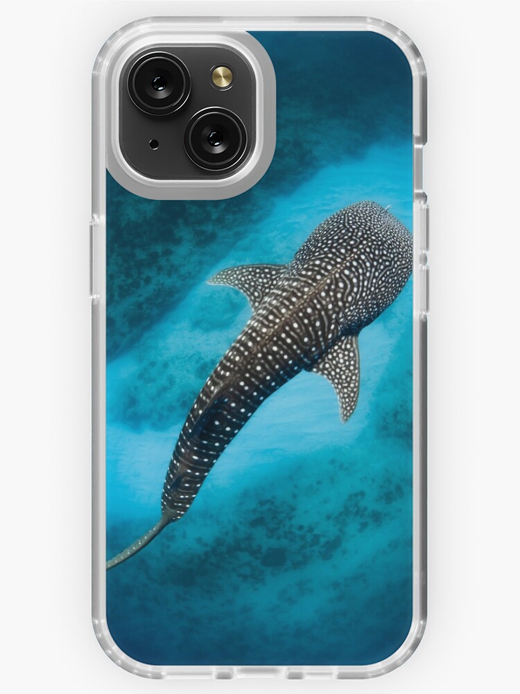 Whale Shark