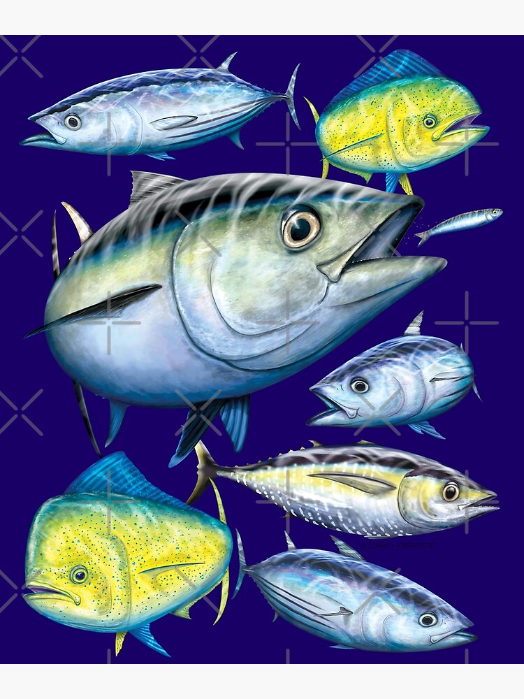 "Mixed Tuna & Mahi Mahi" Poster for Sale by barradingo Redbubble