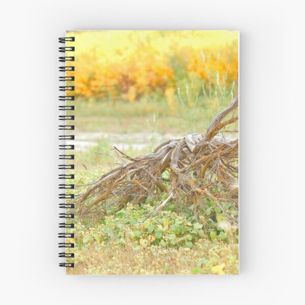 Item preview, Fall colors, Coulee Corridor designed and sold by Harv Churchill.