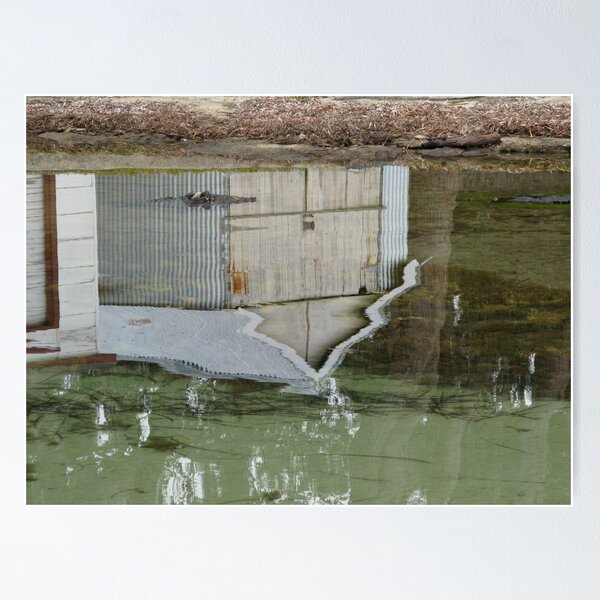Item preview, Shed reflected... designed and sold by Chris Mehl.
