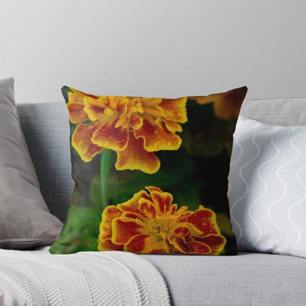 Aperçu de l'œuvre Marigolds by sunset créée et vendue par Harv Churchill.