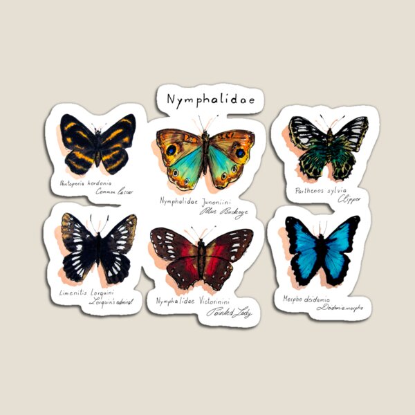 Nymphalidae butterflies Magnet