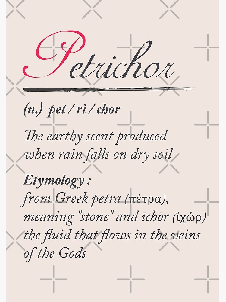 Petrichor, dictionary definition, word meaning illustration
