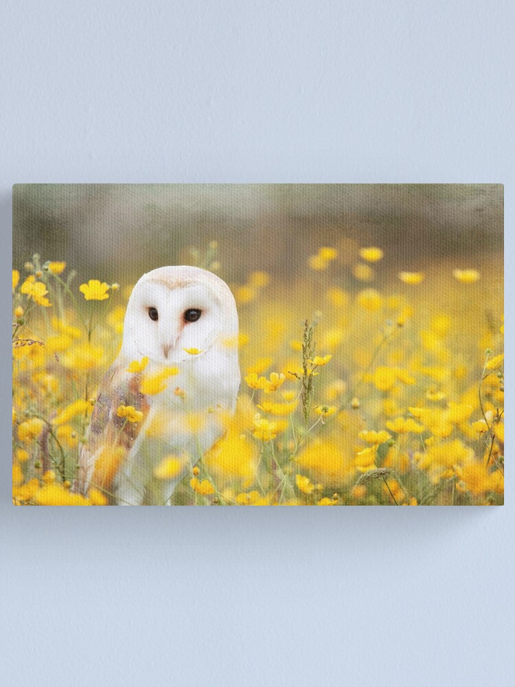 Alternate view of Barn Owl Canvas Print
