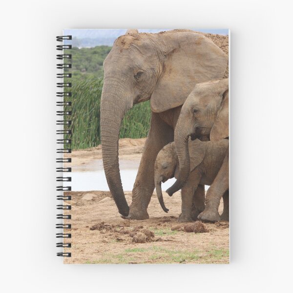 Item preview, Familia del elefante designed and sold by KMORISON.