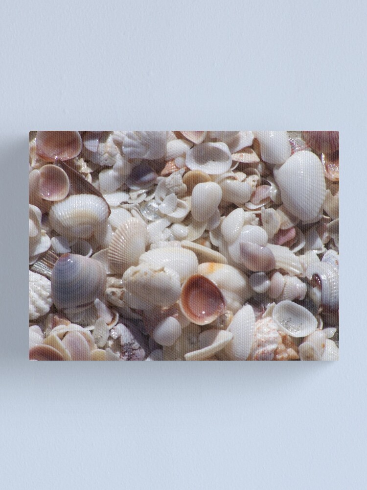 Alternate view of Sanibel Shell Hash Canvas Print
