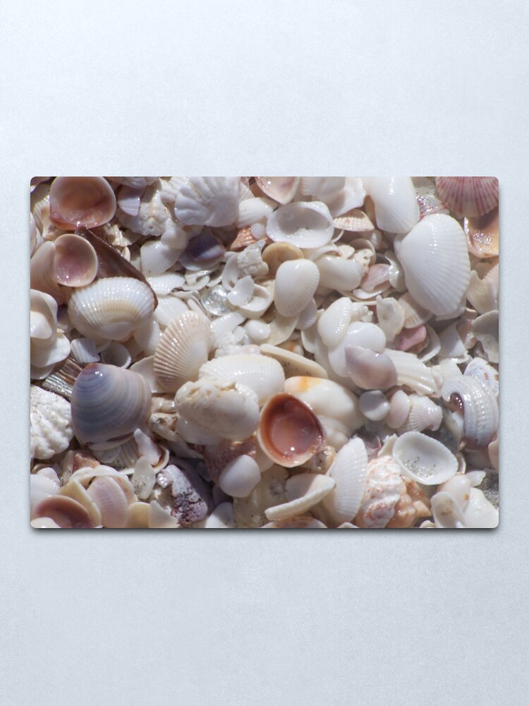 Alternate view of Sanibel Shell Hash Metal Print