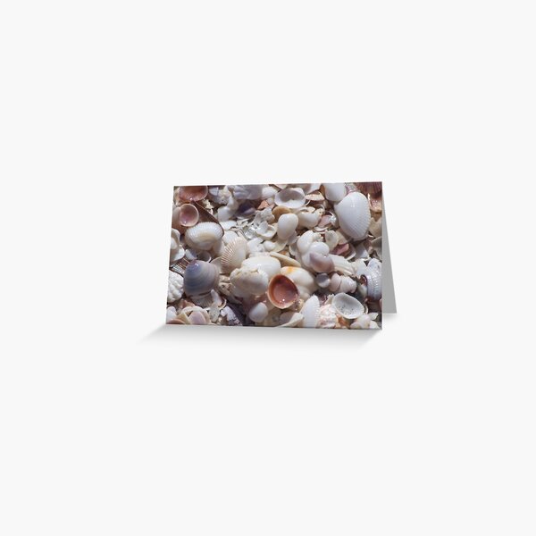Sanibel Shell Hash Greeting Card