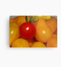 Red nose Metal Print
