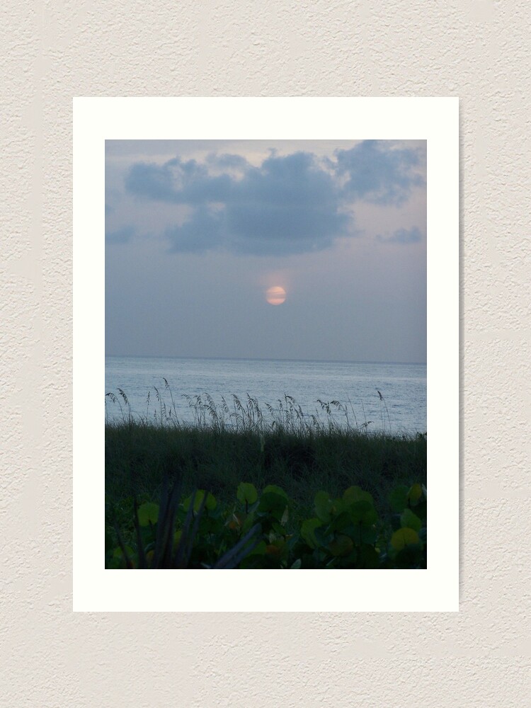 Art Print, Sunrise At The Beach designed and sold by DianaTaylor/ JacksonDunes